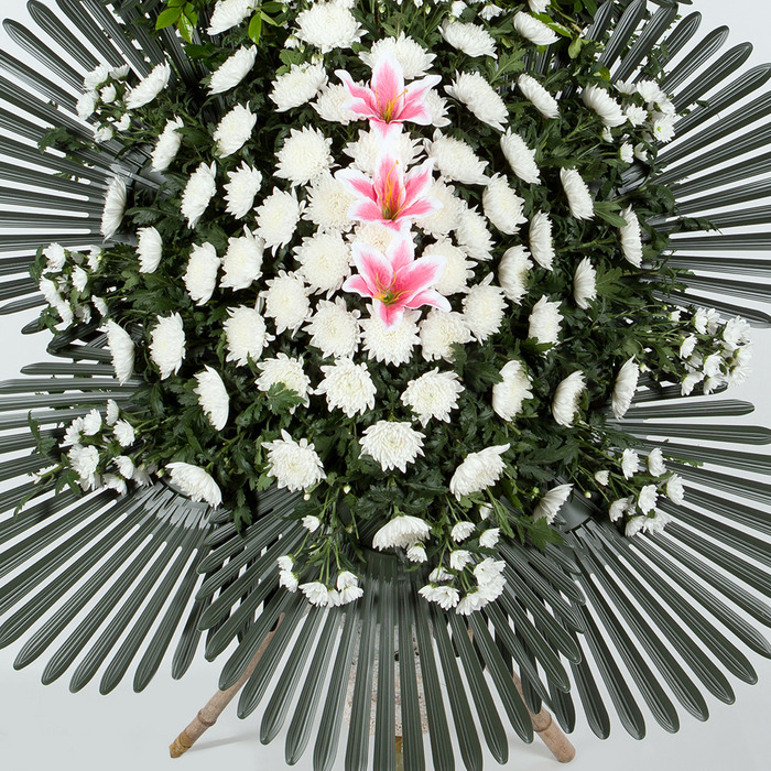 꽃조아 이미지