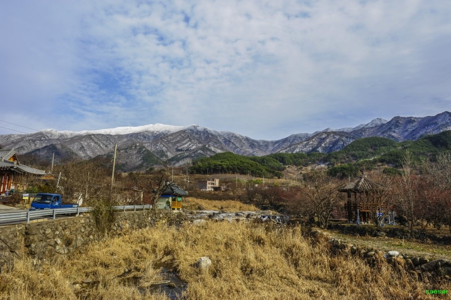 이산찐빵 이미지