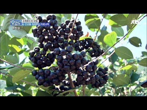 비엔더블유 이미지