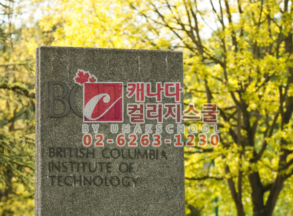 88자동차정비 이미지