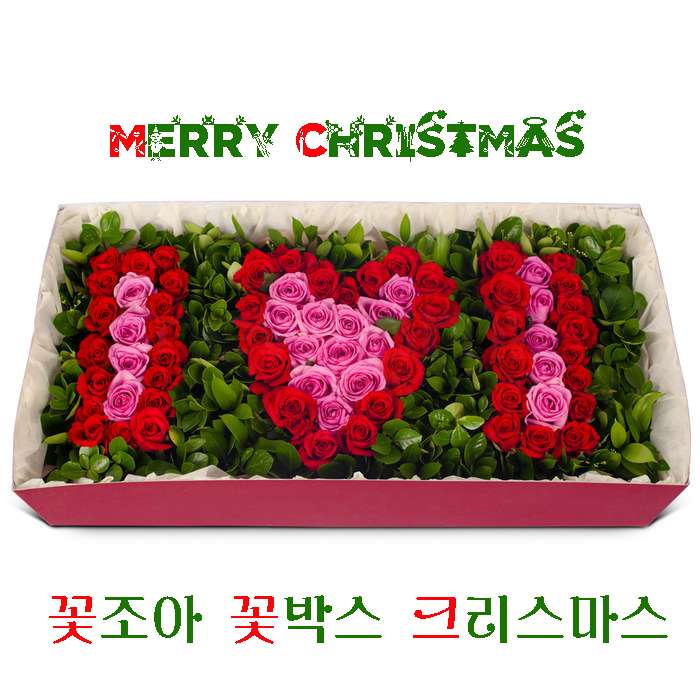 꽃조아 이미지