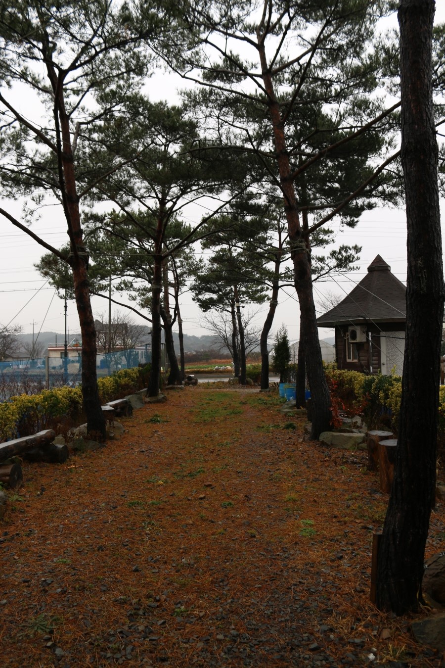 솔잎체험장 이미지