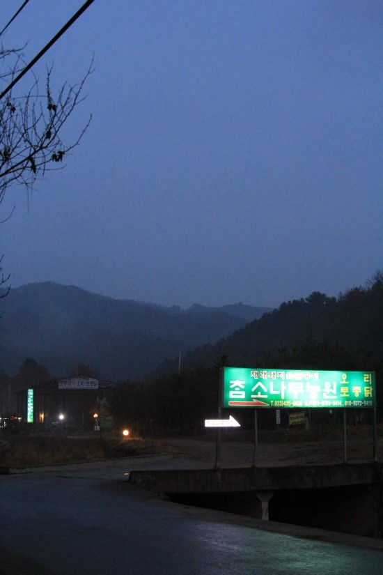 참소나무농원 이미지