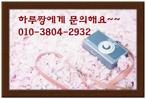 성신여행사 이미지