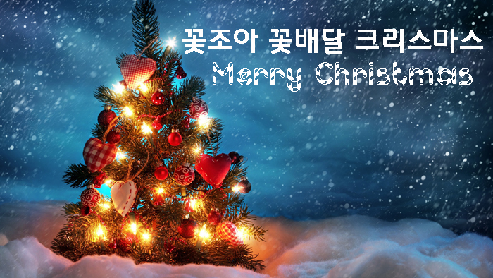 꽃조아 이미지