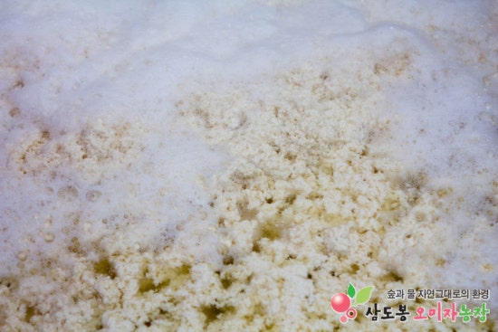 콩모아두부 이미지