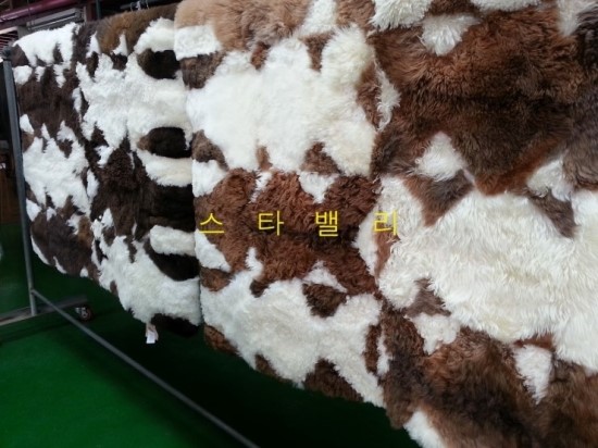 강*섭 이미지