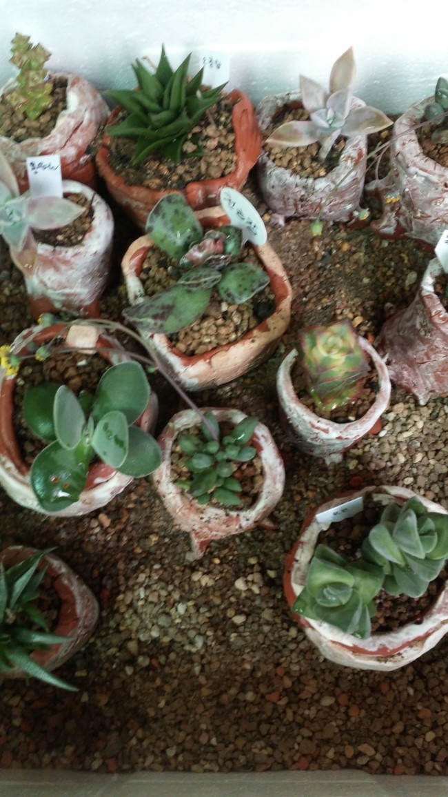 다솜공방 이미지
