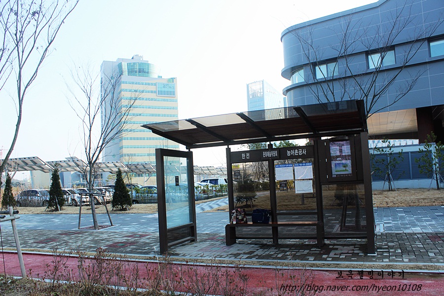 제일농수산유통 이미지