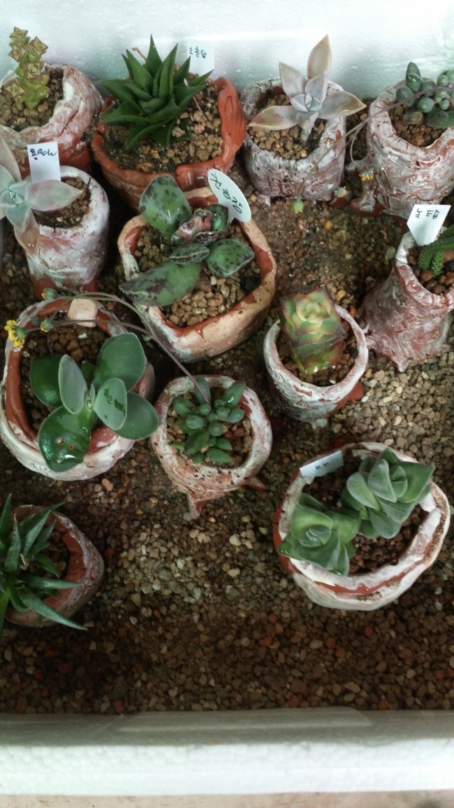 다솜공방 이미지