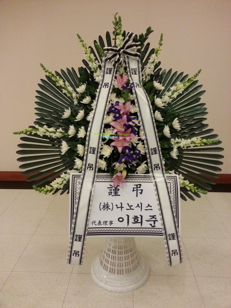 (주)나노시스 이미지