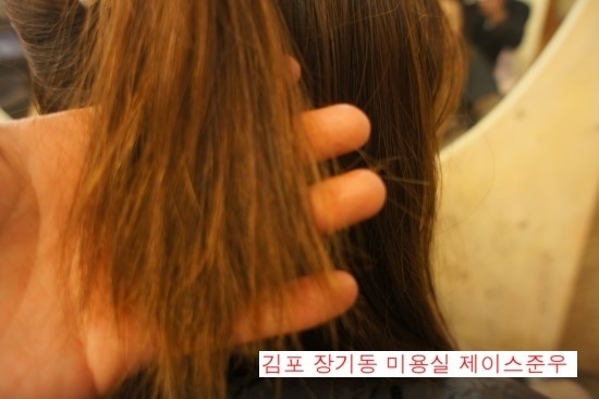 제이스준우 이미지