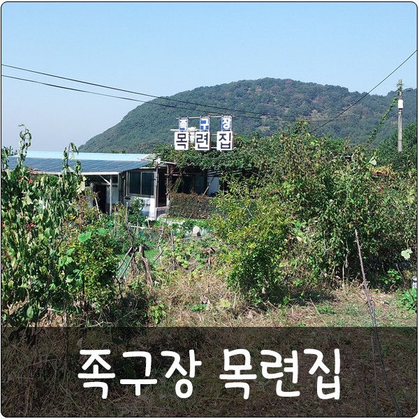 목련집 이미지