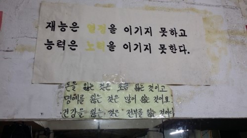 와룡복싱 이미지