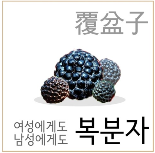 아리아무인텔 이미지
