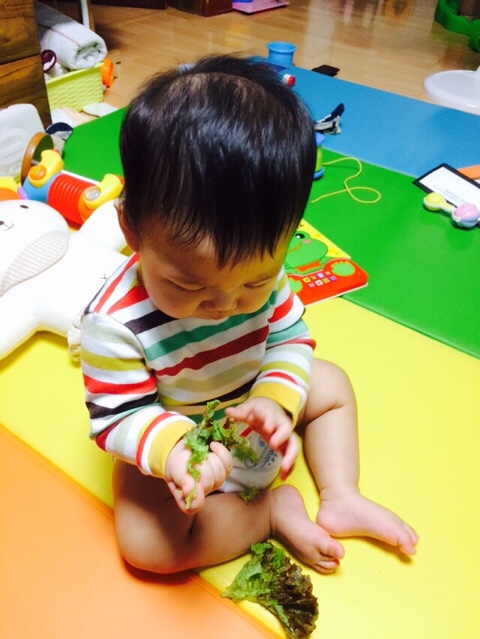 홍군족발 이미지