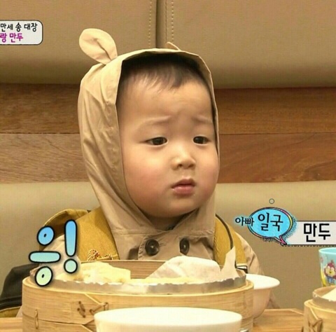 홍홍 이미지