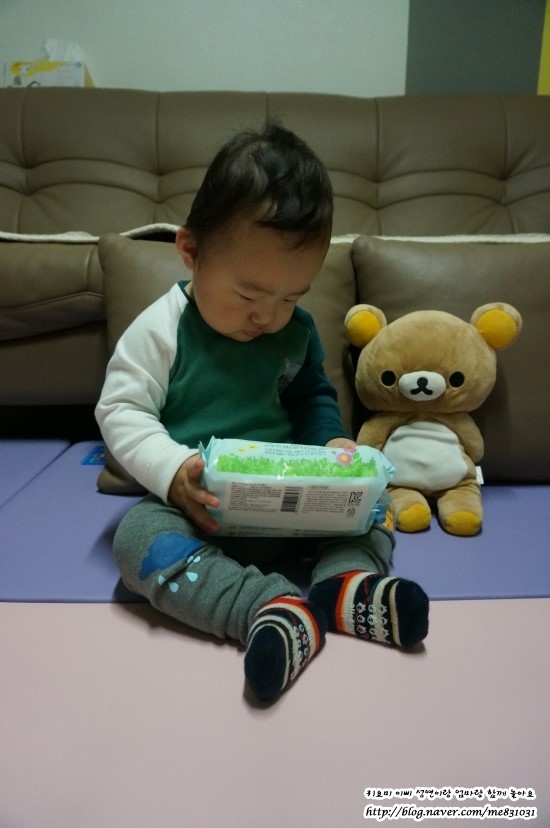 성연허브 이미지