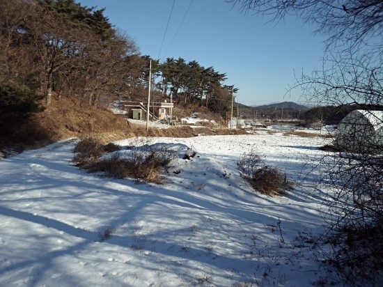 횡성콩마당 이미지