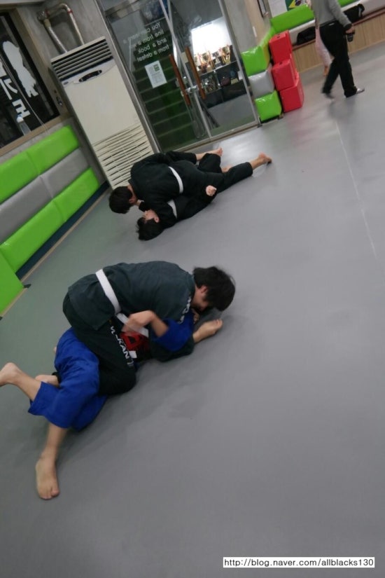 퍼팩트주짓수 이미지