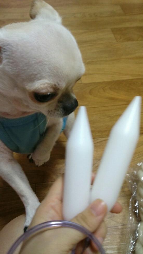 키맘 이미지
