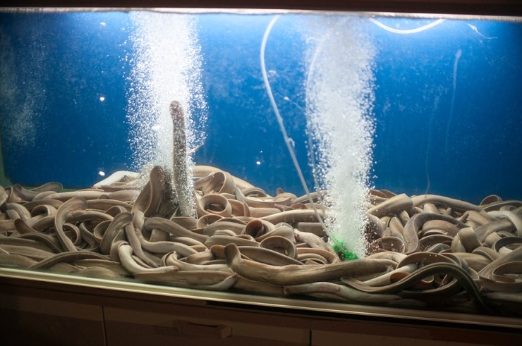 삼언 이미지