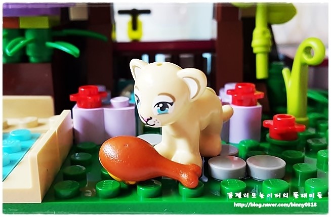 정글비스킷 이미지