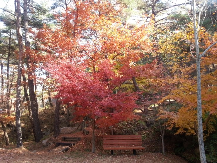 화왕산자연휴양림 이미지