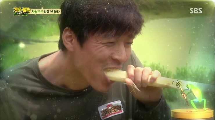 (주)사탕수수 이미지