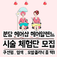 헤어알렌느 이미지