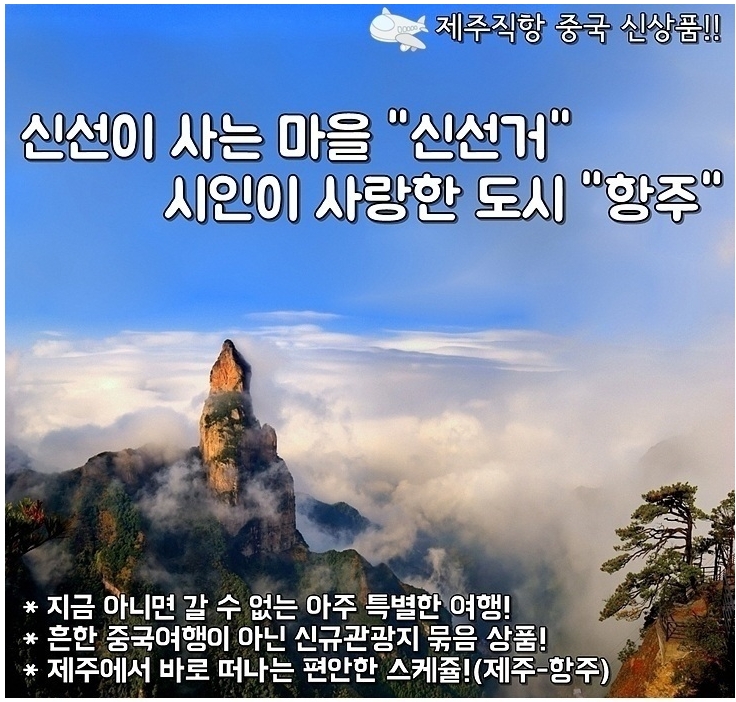 푸른항공여행사 이미지