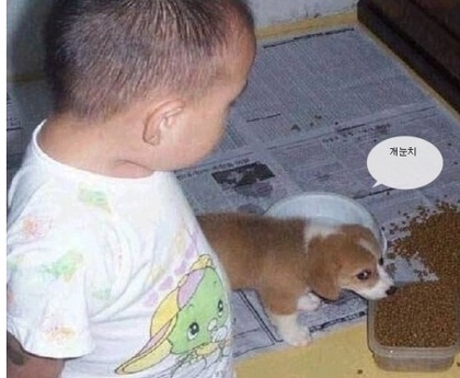 빈드럭스 이미지