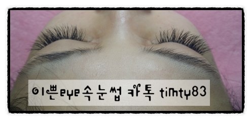동부문구분식 이미지