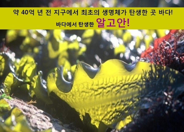 수피부샵 이미지