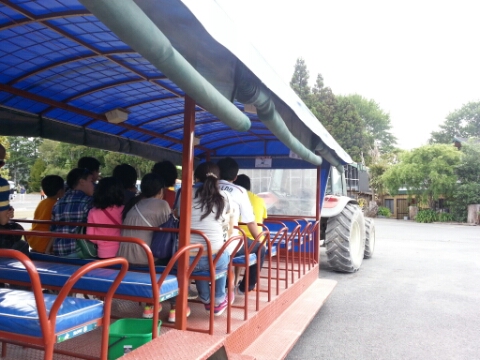 투어 팜(TOUR FARM) 이미지