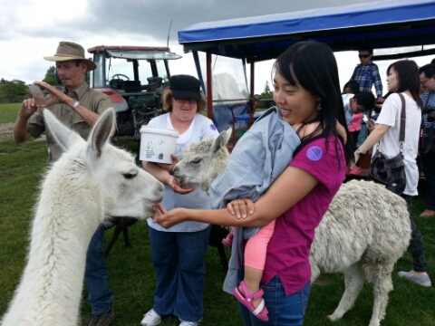 투어 팜(TOUR FARM) 이미지