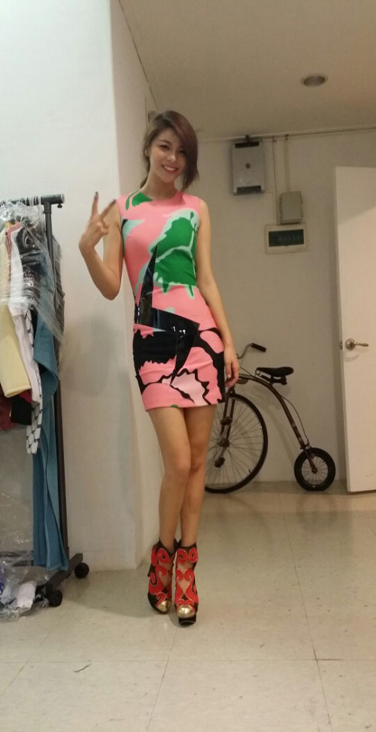 옐로우레이디버드 이미지