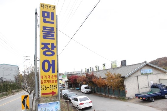 장어대가수산 이미지