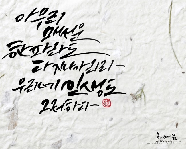 캘리송 이미지
