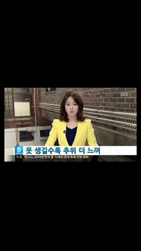 숯 이야기 이미지
