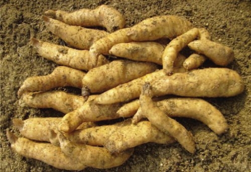 삼도봉천마농장 이미지