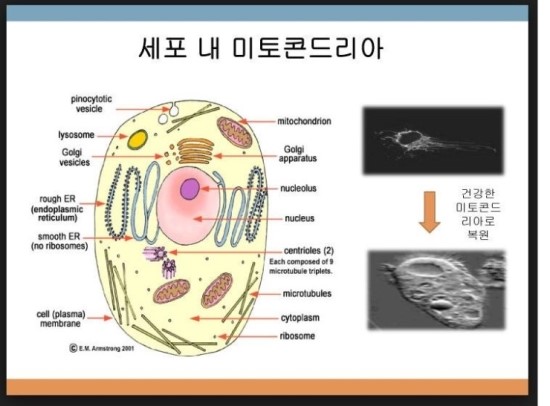뉴트리젠 이미지