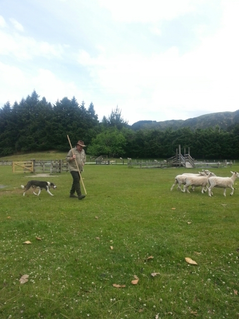 투어 팜(TOUR FARM) 이미지