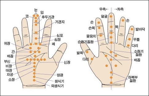 [ 건강 상식 ] 손지압 위치, 손바닥 지압 포인트, 손지압 혈자리 : 네이버 블로그