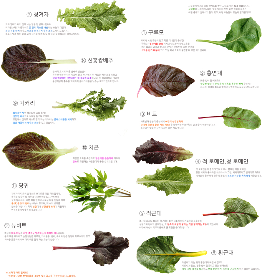 다쌈유통 이미지