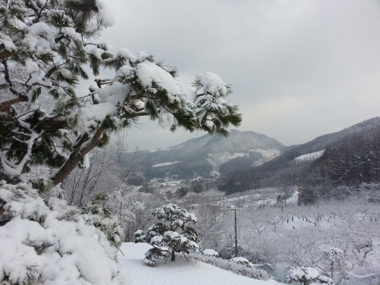 꼬꼬농장 이미지