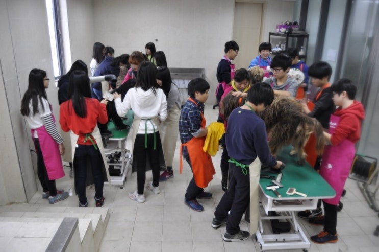 북동중학교 이미지
