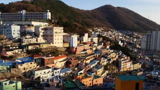 토성식육점 이미지