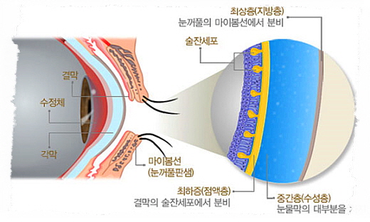 조은안과 이미지