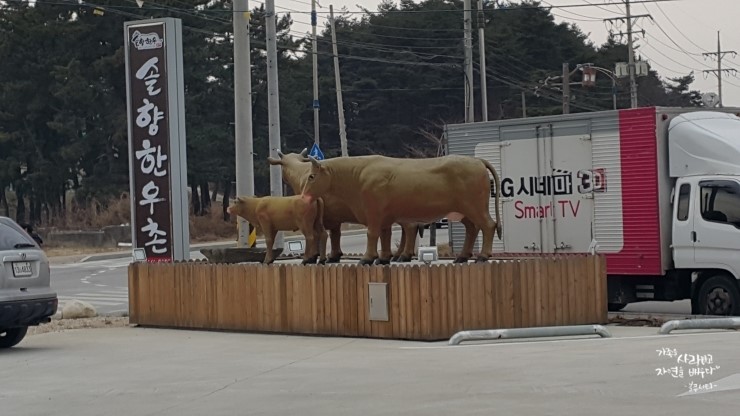 솔향영농조합법인 이미지